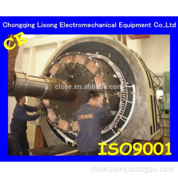 Generator Stator and Rotor/Hydro Generator Stator and Rotor